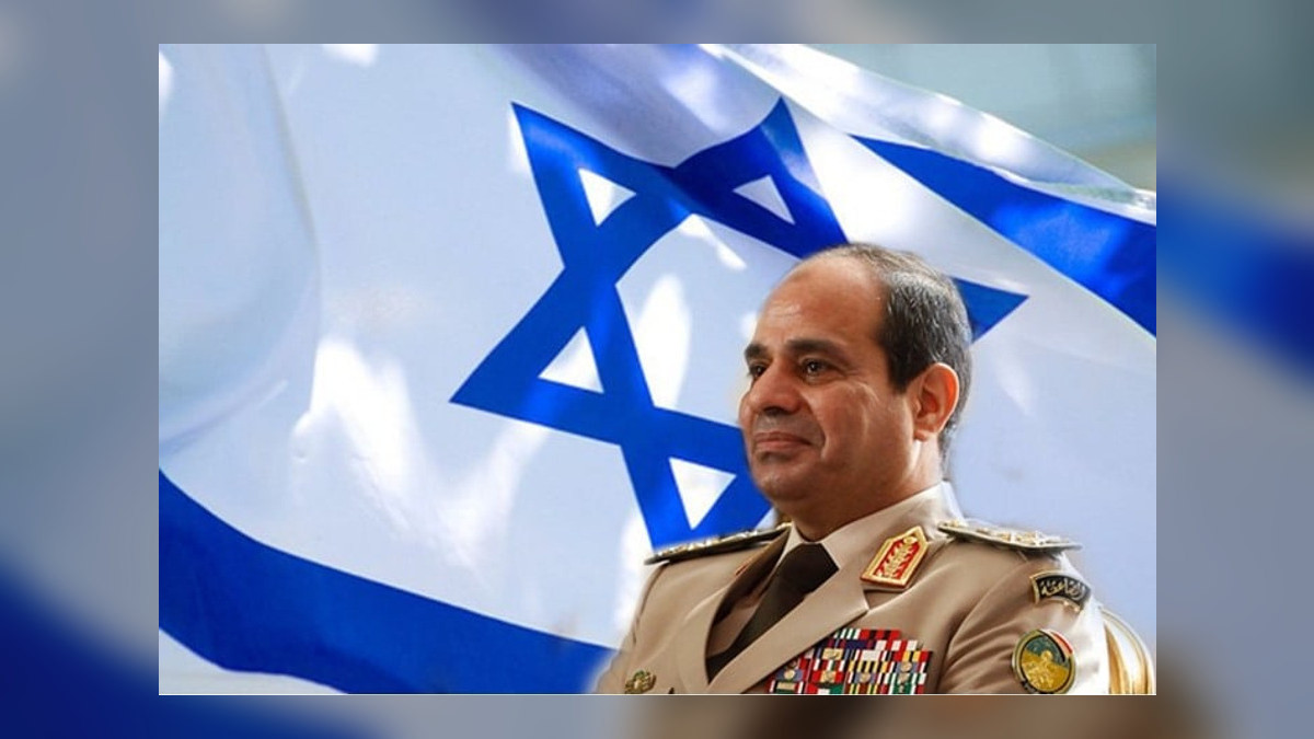 الأرضية المشتركة بين الغرب والسيسي وقرارات الإعدام